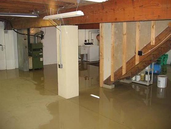 basement flooded hamilton ontario
